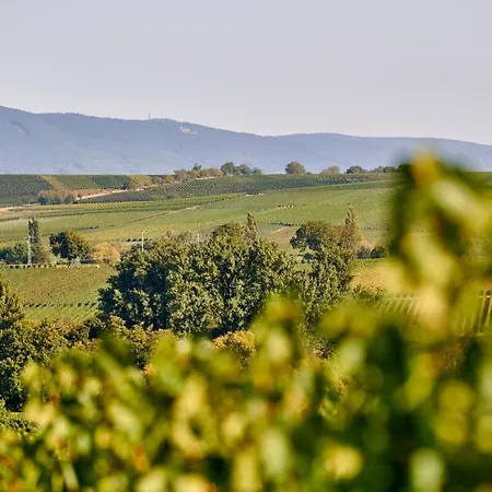 Weingasthaus Wisser Billigheim-Ingenheim