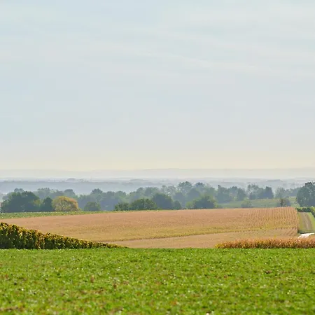 Weingasthaus Wisser 4* Billigheim-Ingenheim