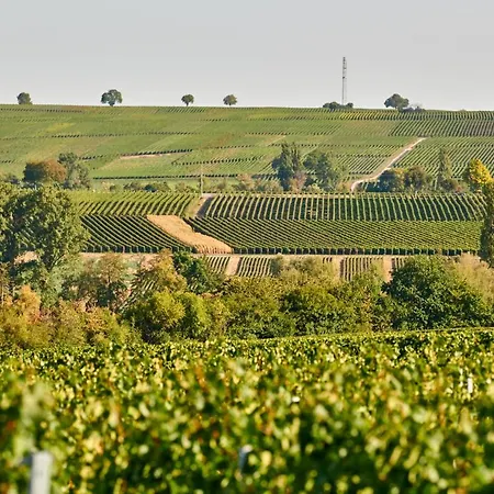 Weingasthaus Wisser Billigheim-Ingenheim