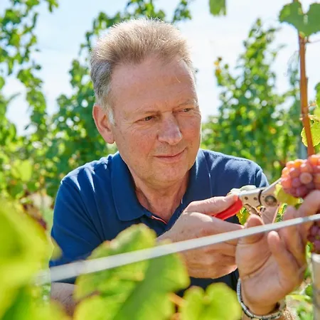Weingasthaus Wisser Billigheim-Ingenheim