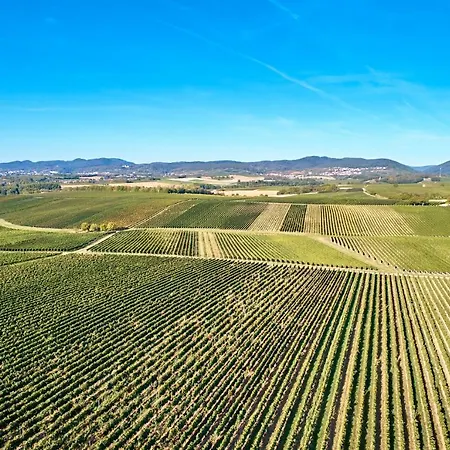 Weingasthaus Wisser Billigheim-Ingenheim