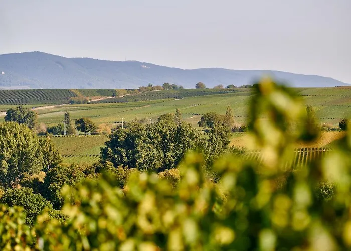 Weingasthaus Wisser Billigheim-Ingenheim
