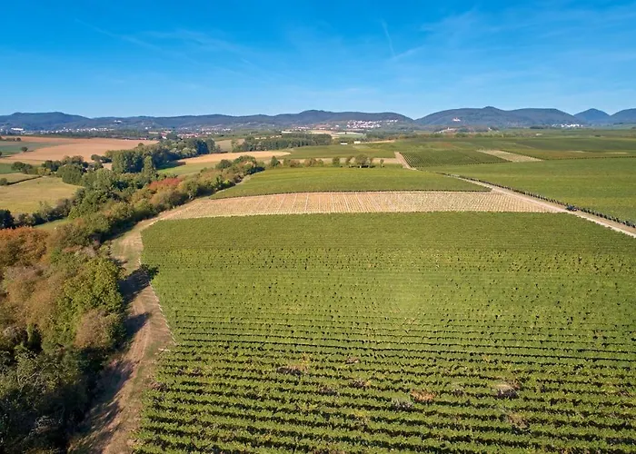 Weingasthaus Wisser 4*