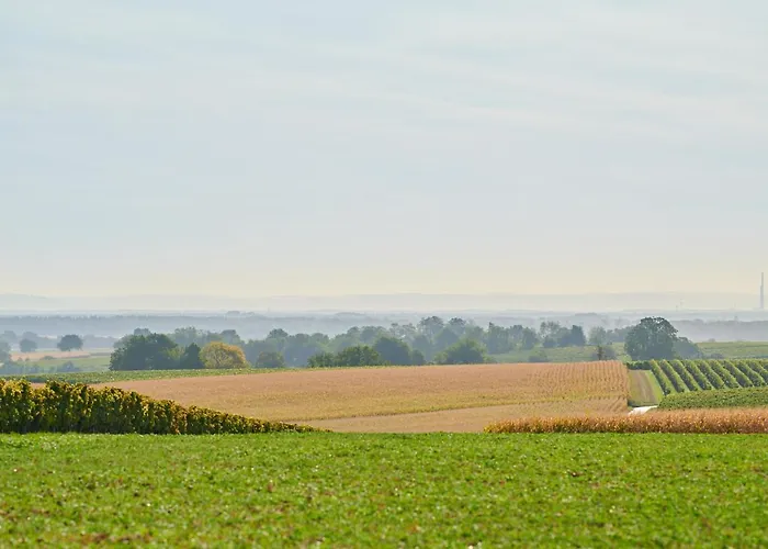 Weingasthaus Wisser 4* Billigheim-Ingenheim