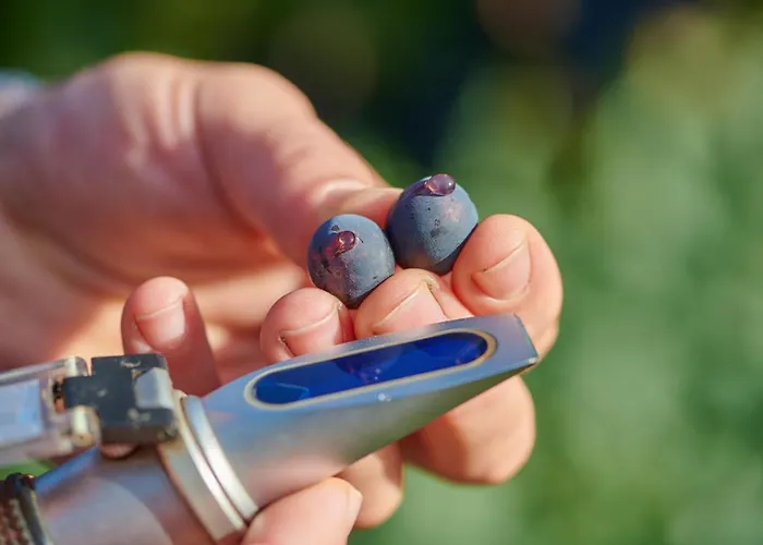 Weingasthaus Wisser Hotel 4*