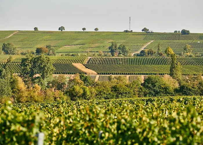 Weingasthaus Wisser Billigheim-Ingenheim