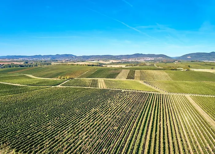 Weingasthaus Wisser Billigheim-Ingenheim