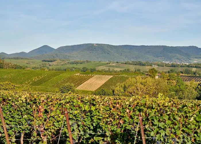 Weingasthaus Wisser Hotel