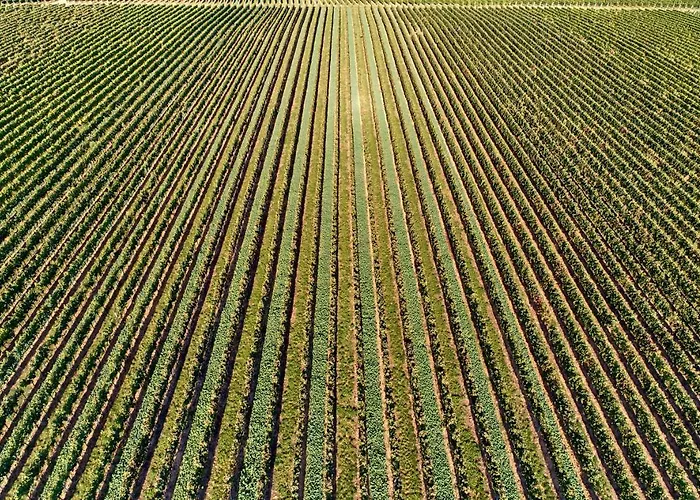 Weingasthaus Wisser Hotel Billigheim-Ingenheim