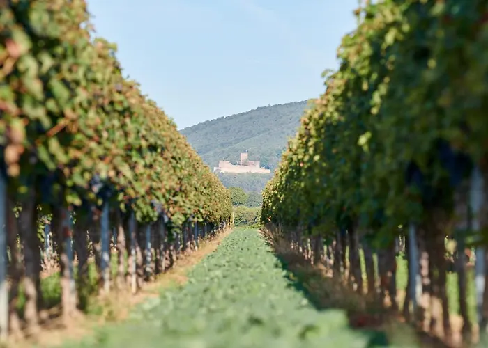 Hotel Weingasthaus Wisser