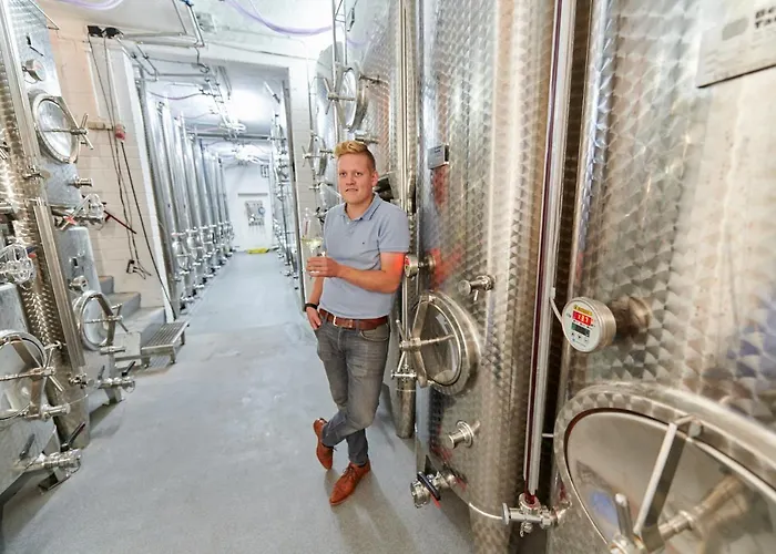 Weingasthaus Wisser Hotel